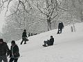 Tobogganing, Snow, Greenwich Park P1070380
